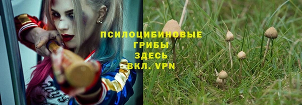 мдпв Зеленодольск