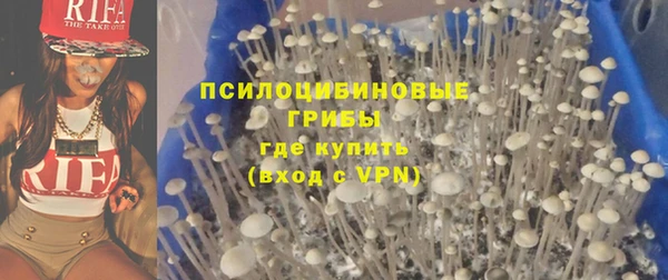 мдпв Зеленодольск