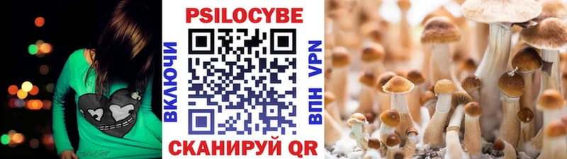 Купить  Пикалёво  Псилоцибиновые грибы прущие грибы 